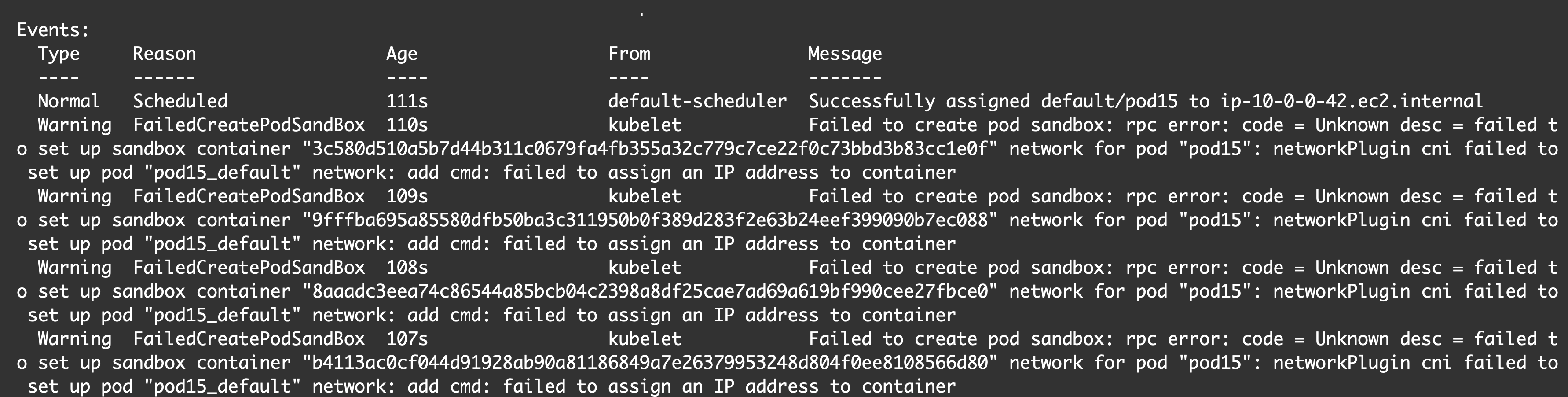 Failed to assign IP address